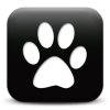 Captcha image 3663